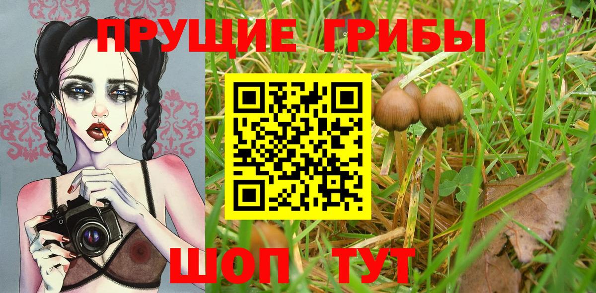 Псилоцибиновые грибы MAGIC MUSHROOMS Коряжма