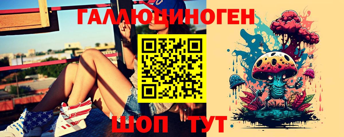 Коряжма  Псилоцибиновые грибы мухоморы  что такое   Вход с VPN 